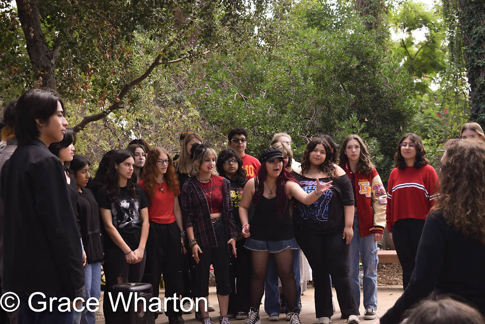 Fall Festival Blog Post