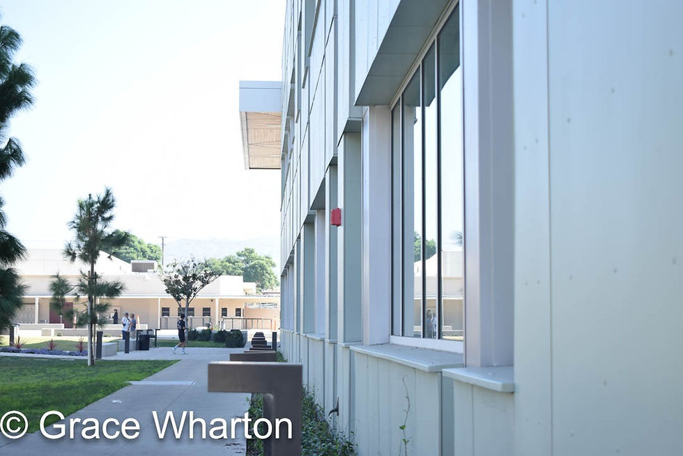 Composition in Photography