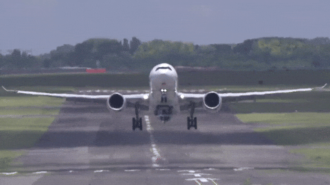 airplane.gif