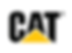 CAT.png
