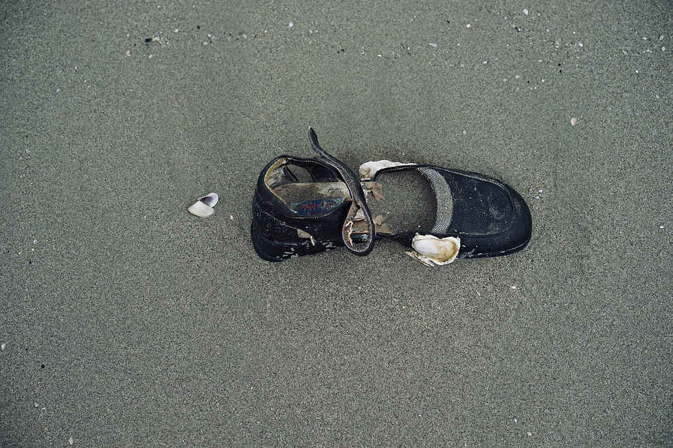 Mireille Cifali Bega, trois nouveaux carnets d'images : à l'abandon, en pleine lumière et à Tirana