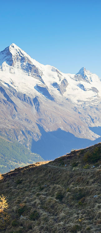 Scenic Mountain Biking