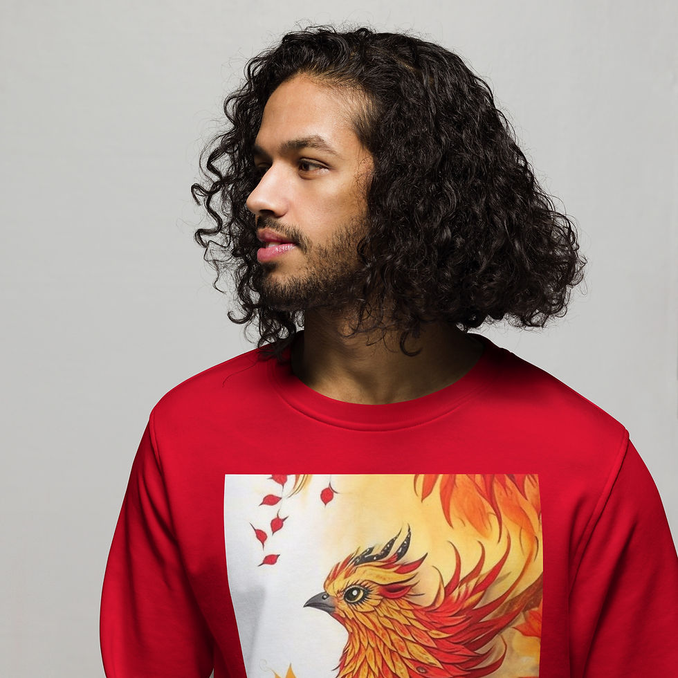 縮圖：Sweatshirt "FIREBIRD"