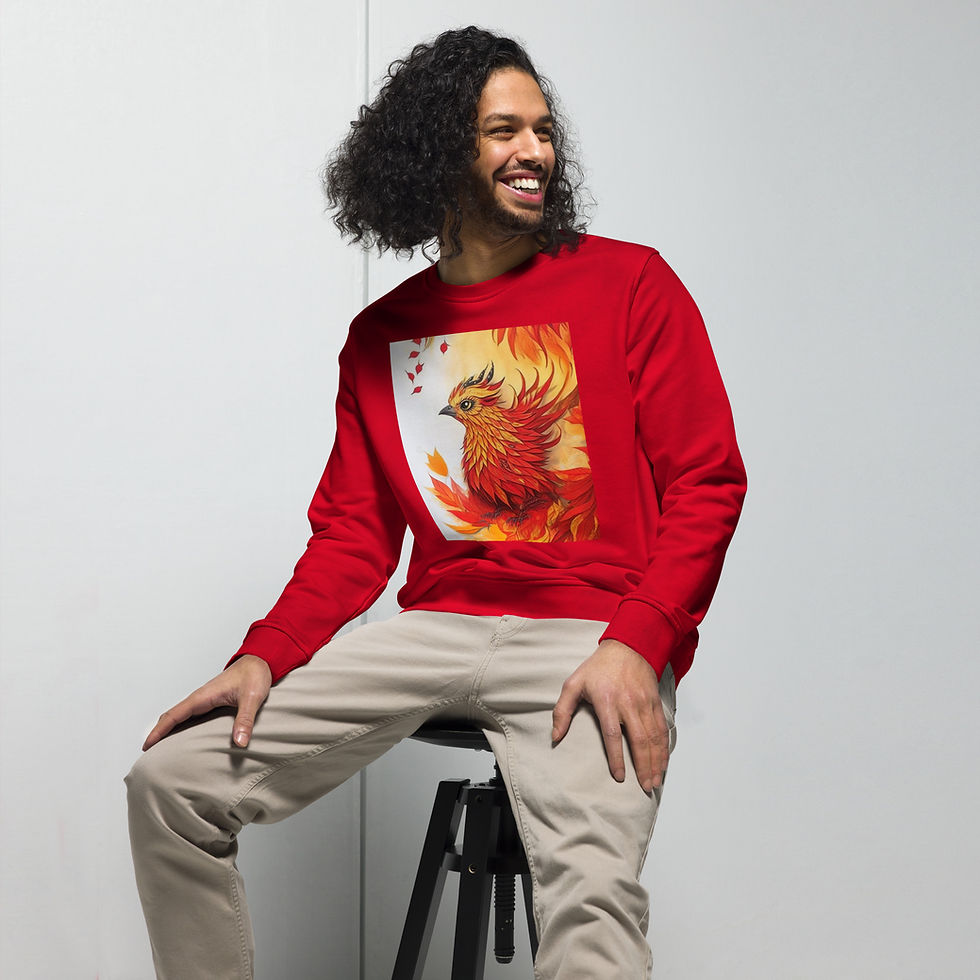 Миниатюра: Sweatshirt "FIREBIRD"