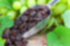 Uvas Pasa