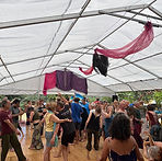 IMG_2550.jpg