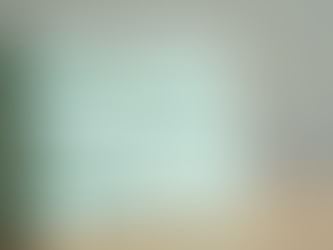 EcoBaby: The Future of Biodegradable Diapers