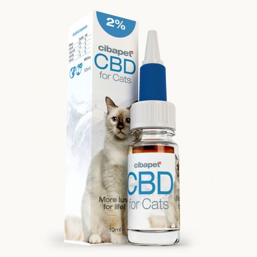 Aceite de CBD al 2% para gatos