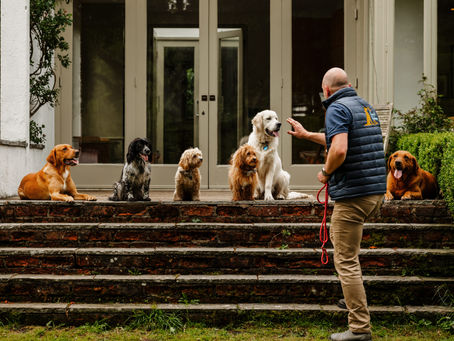 Understanding Residential Training Costs UK: What You Need to Know