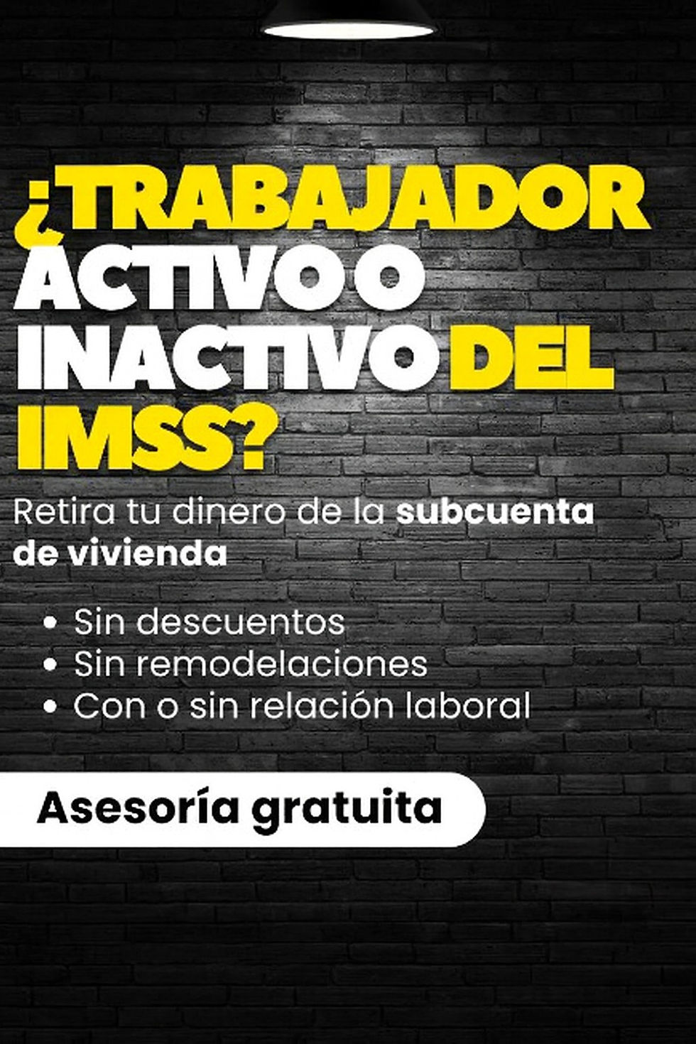 WhatsApp Image 2026-02-23 at 07.50.00.jpeg