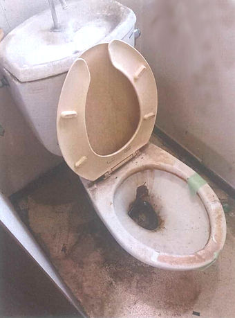 トイレ掃除前