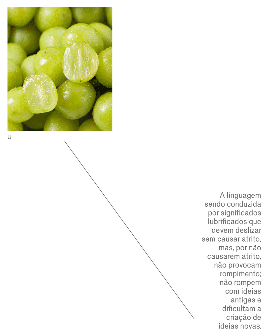 gif-capas-frutas-sem-semente.gif