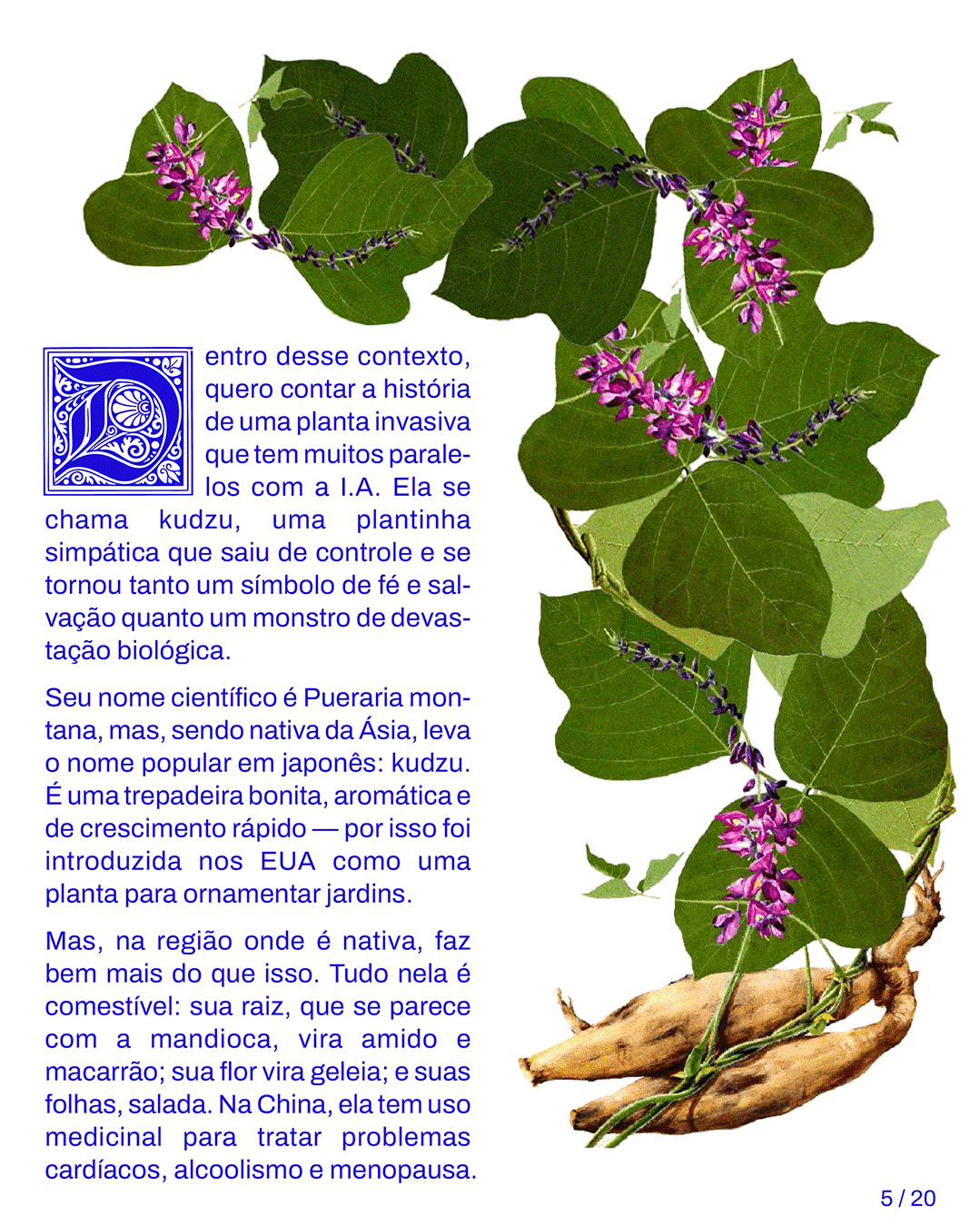 gif-kudzu.gif