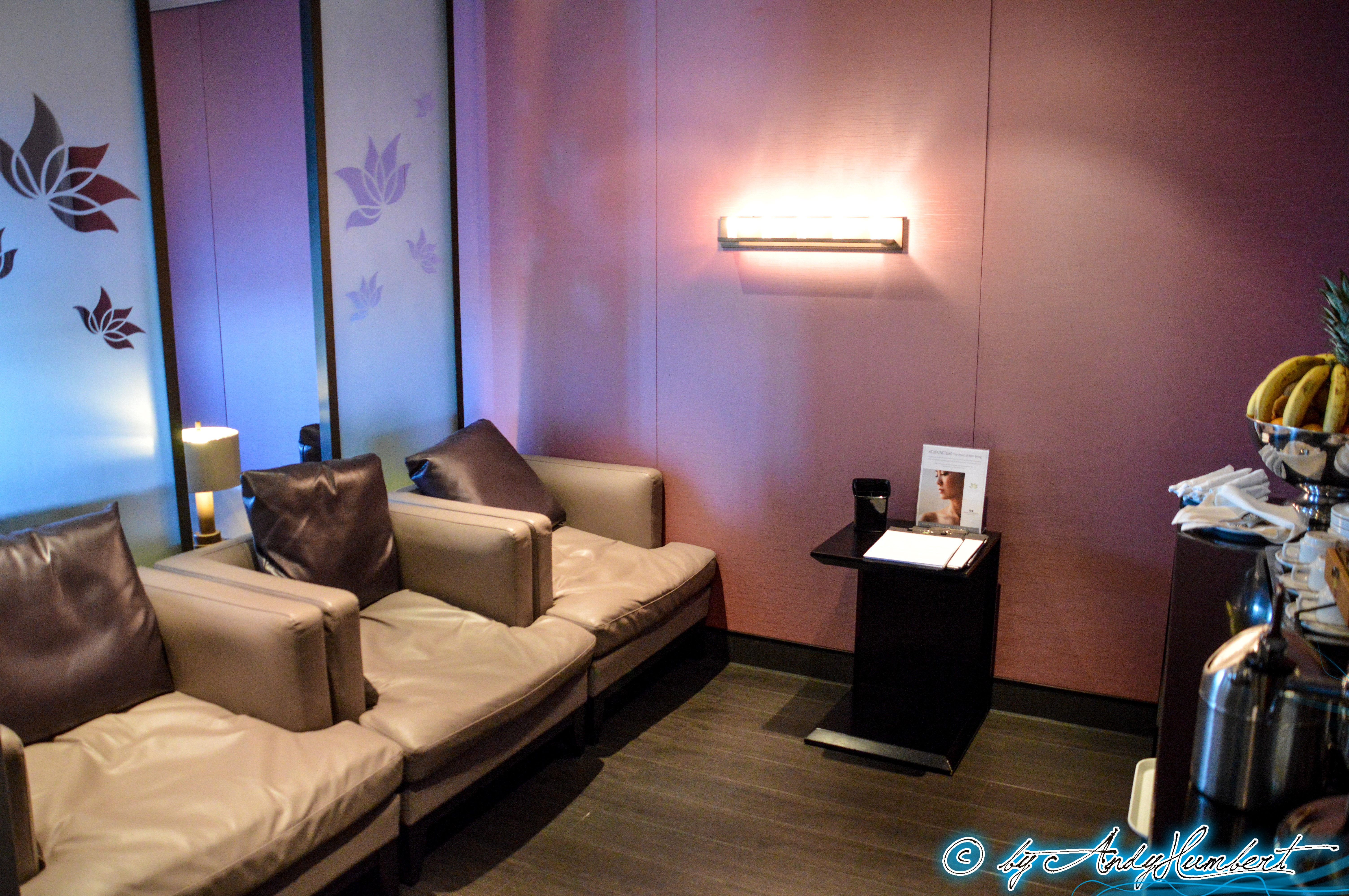 Lotus Spa : Salon (pont 4)