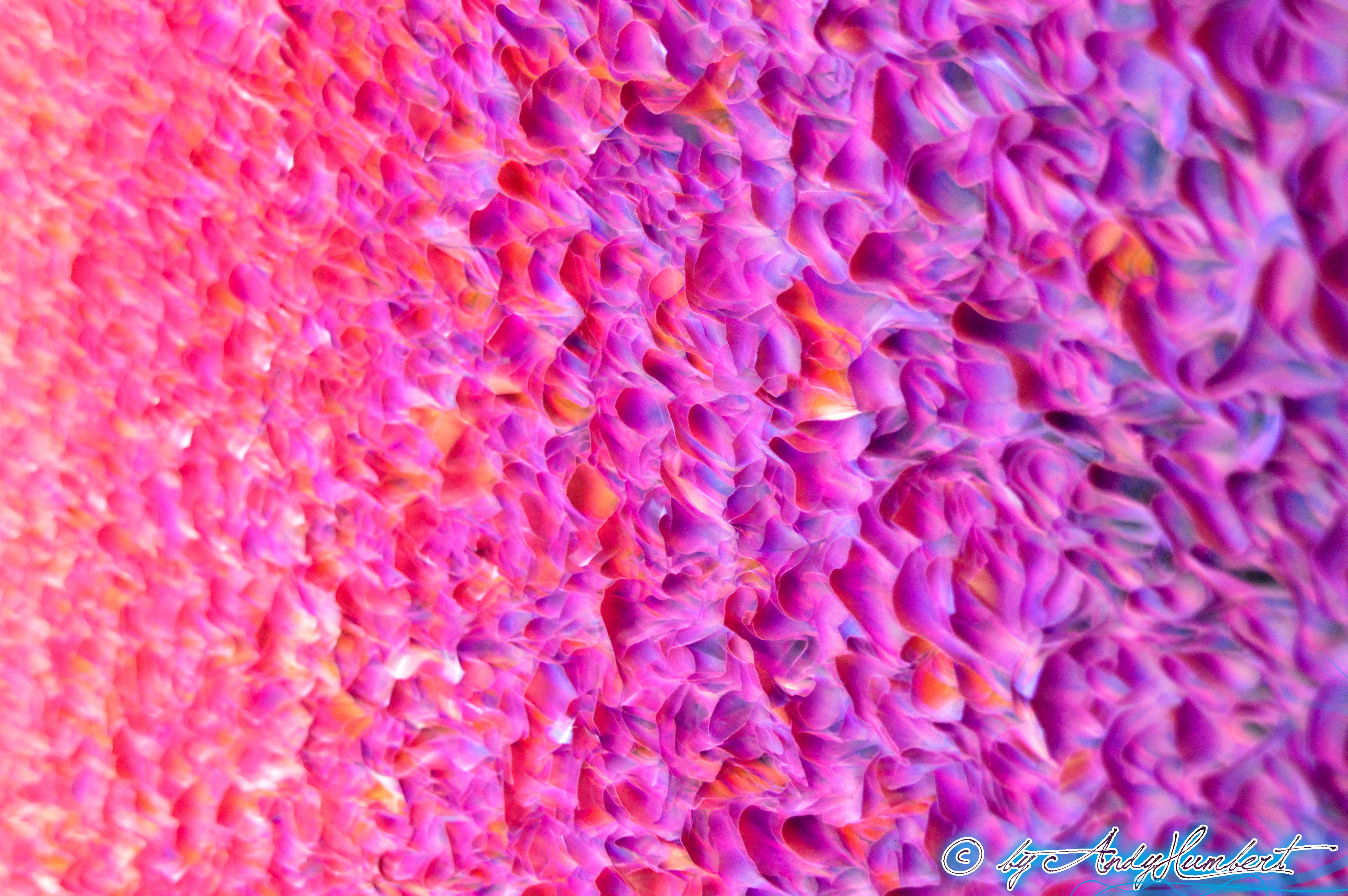 Flower Bed Series