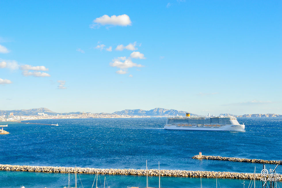 DSC_0888-1-border.jpg