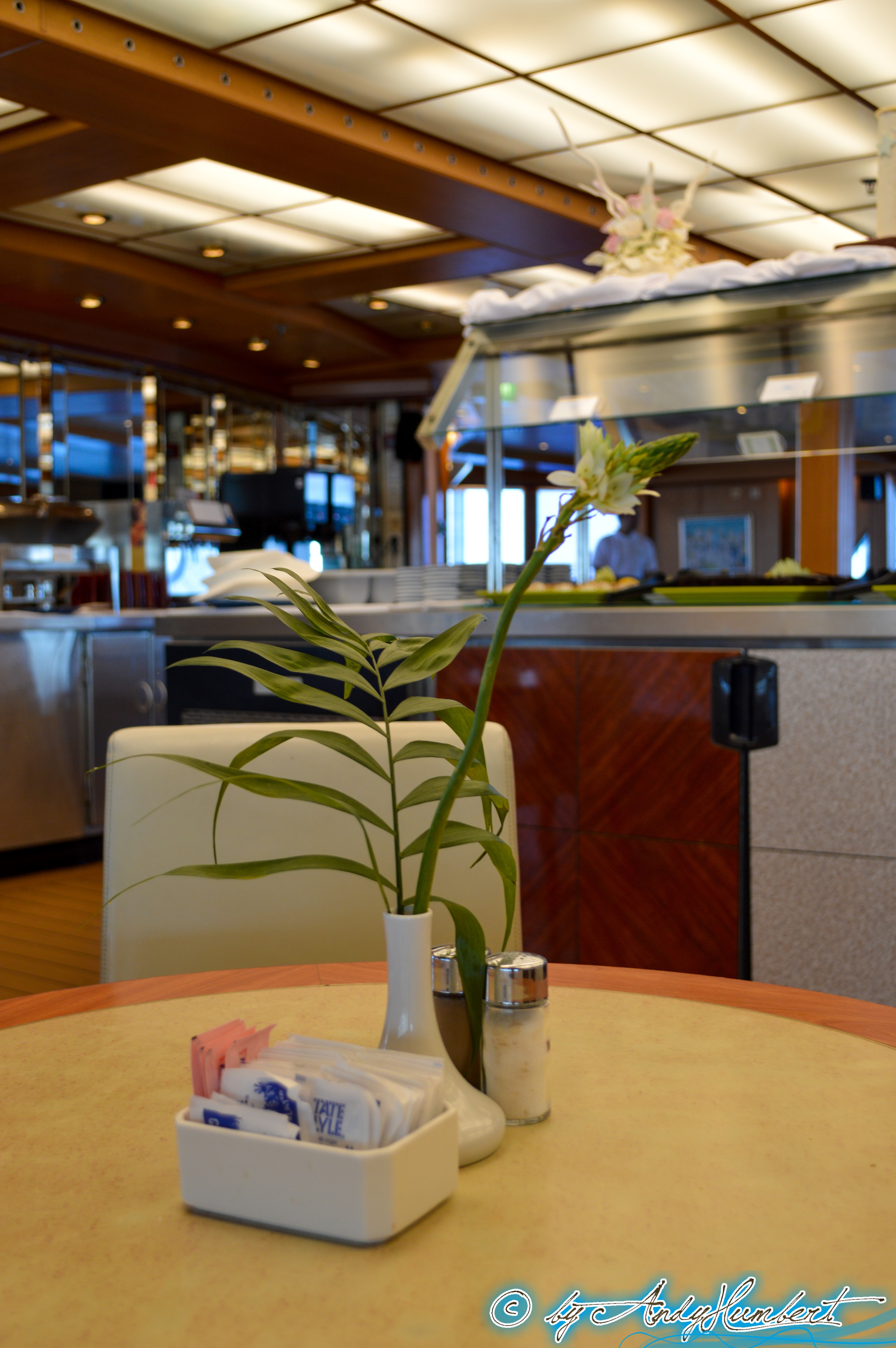 Buffet Leda (pont 6 Venus)