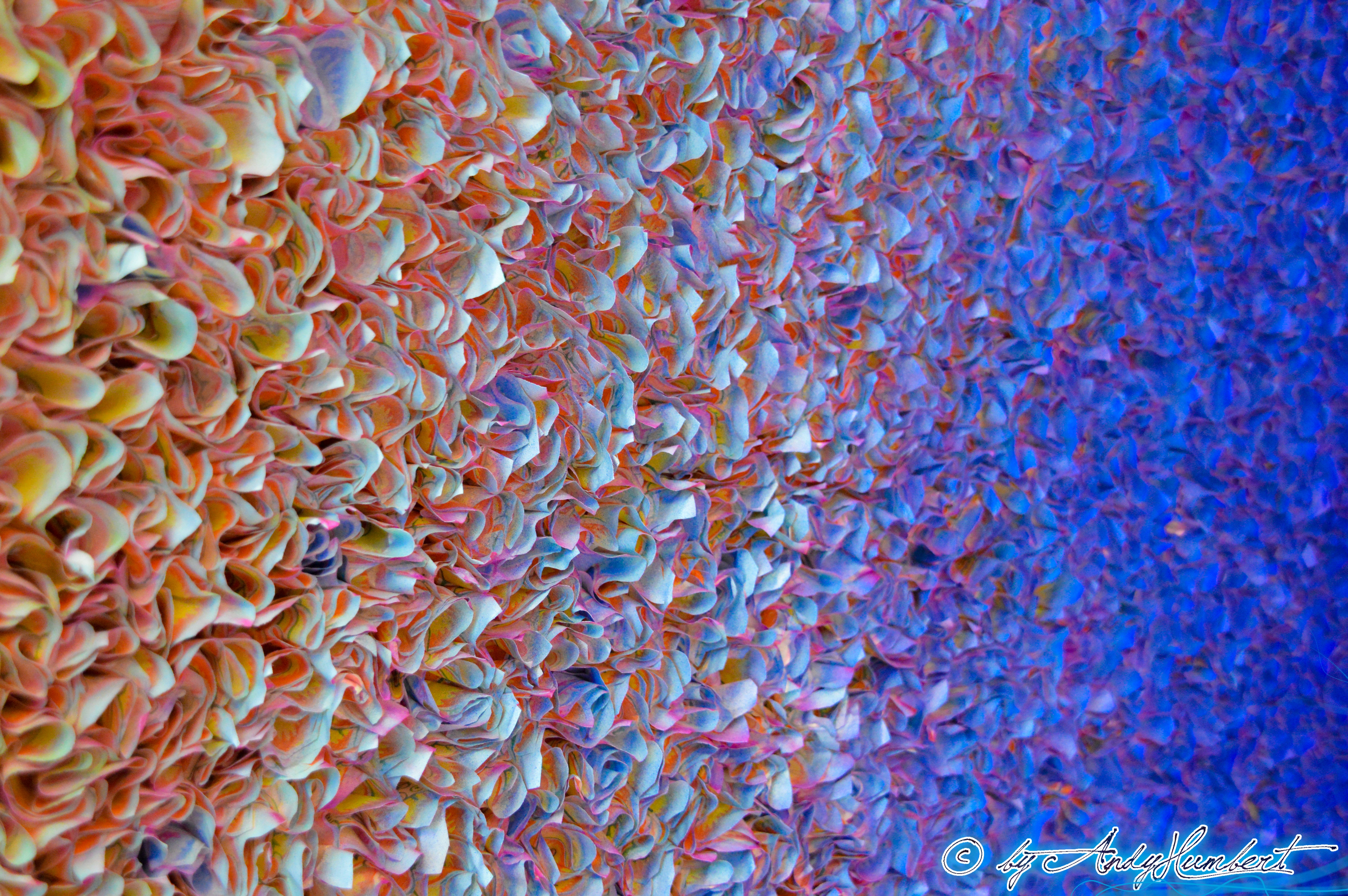 Flower Bed Series