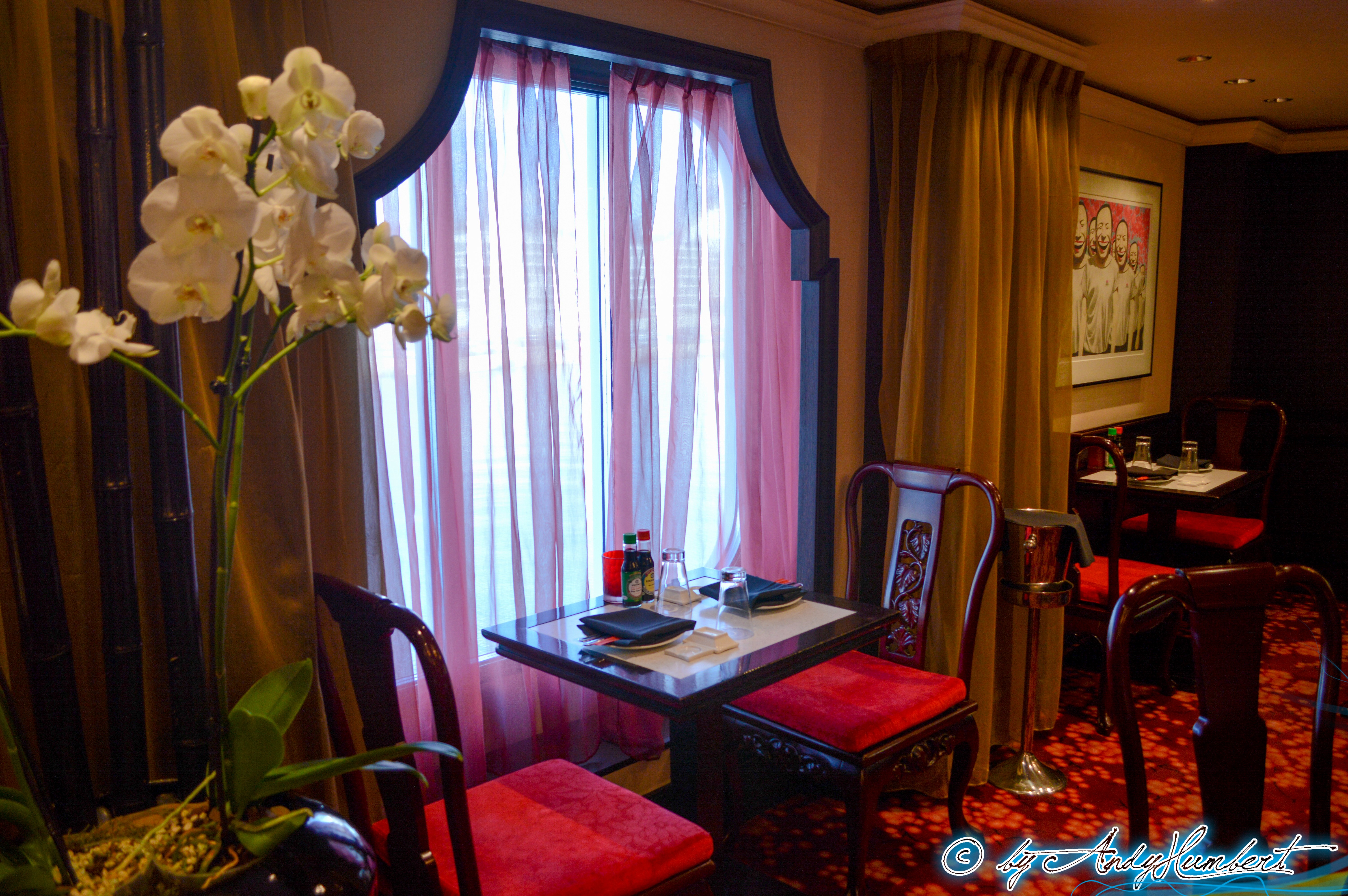 Shanghai’s Chinese Restaurant (pt.6)