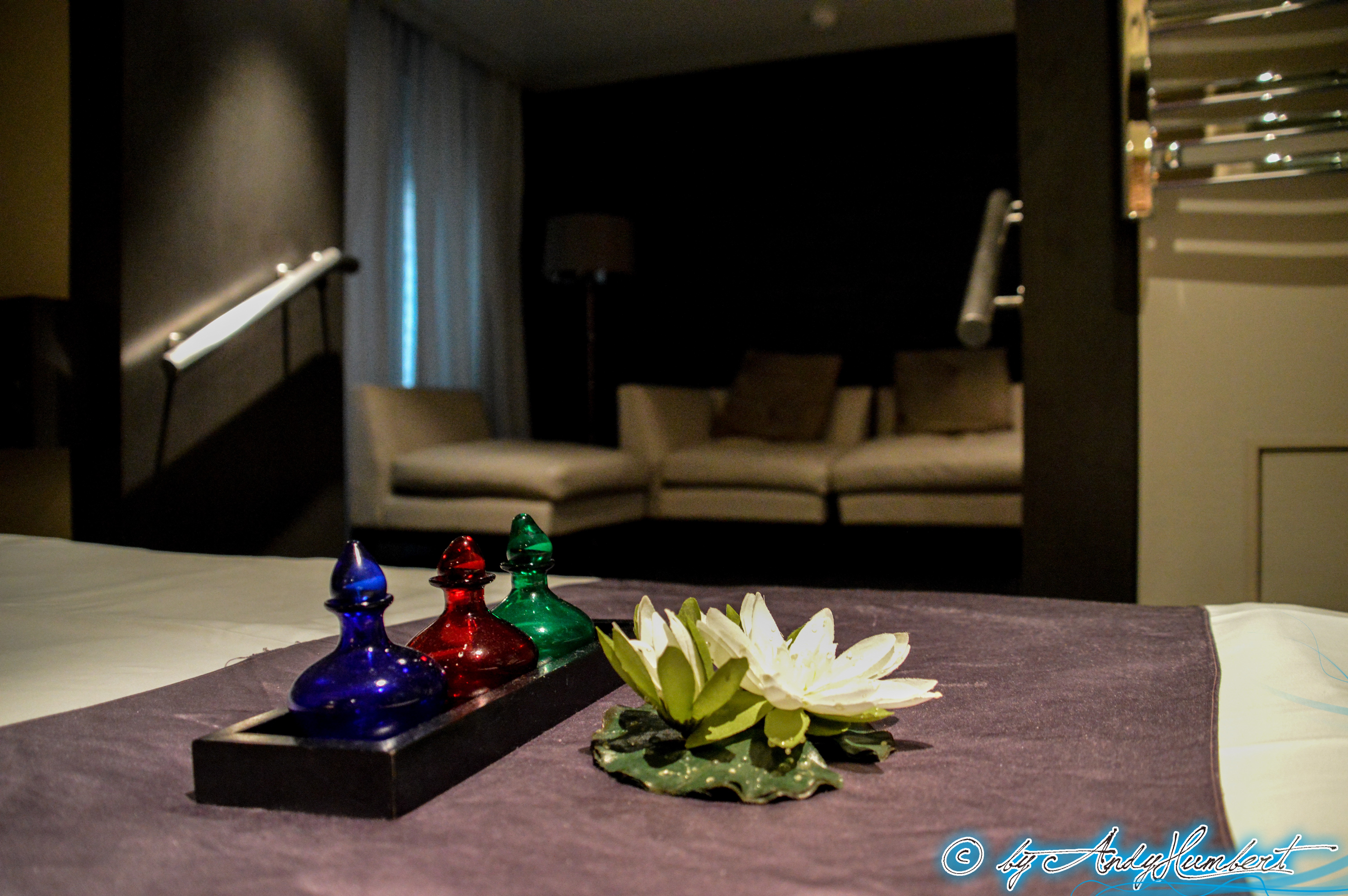 Lotus Spa : Massage (pont 4)