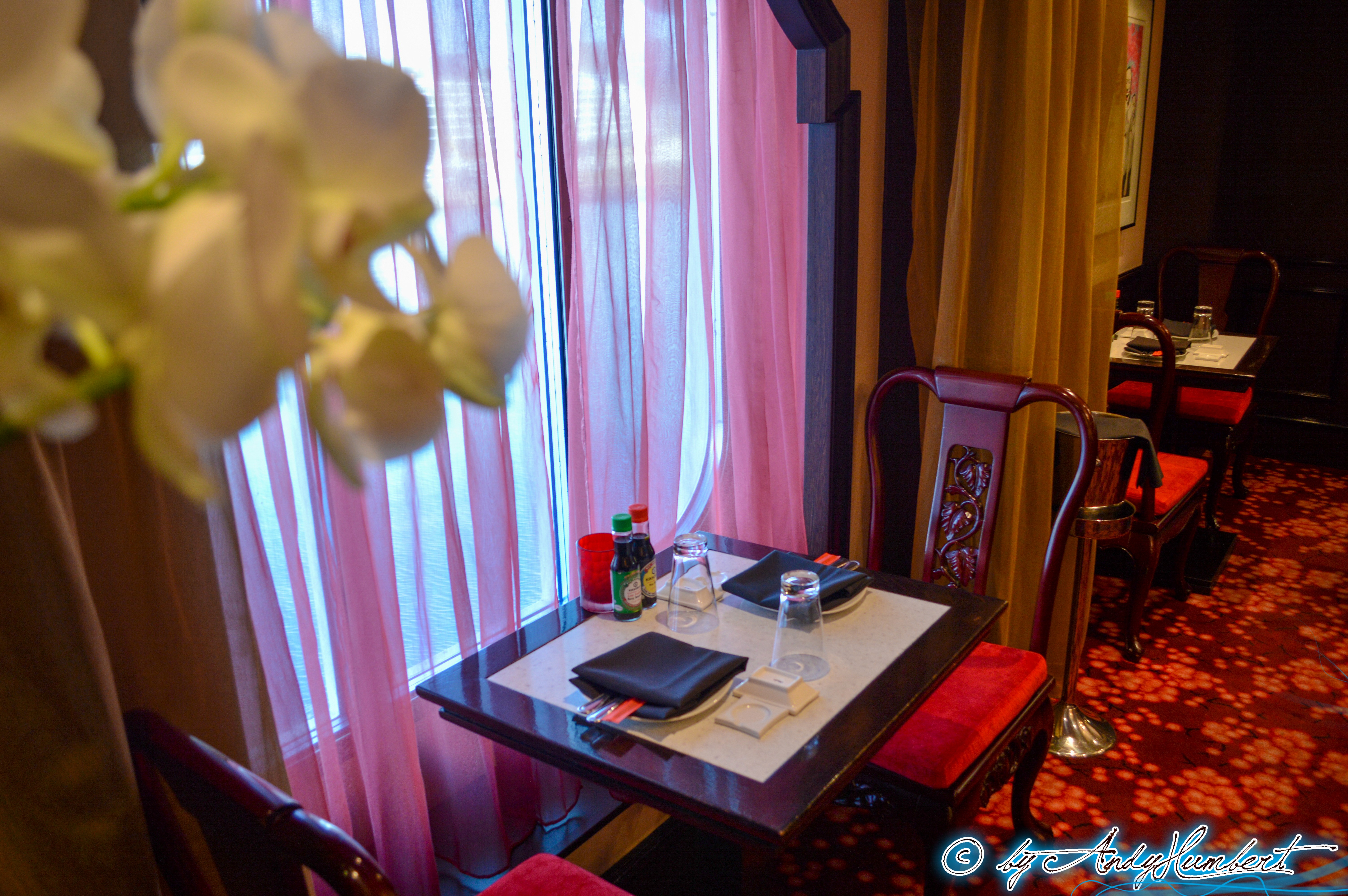 Shanghai’s Chinese Restaurant (pt.6)