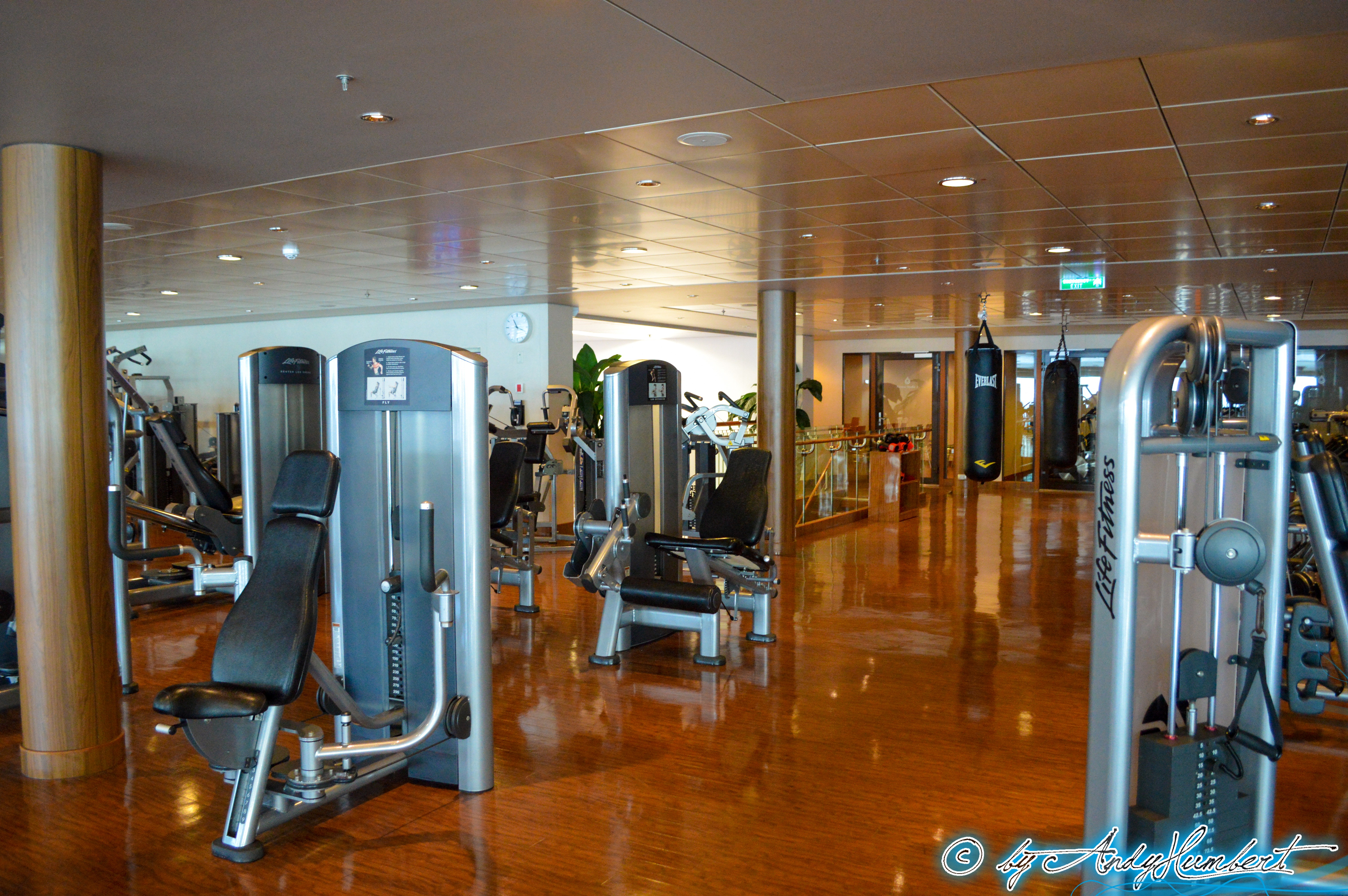 Pulse Fitness Center (pont 14)
