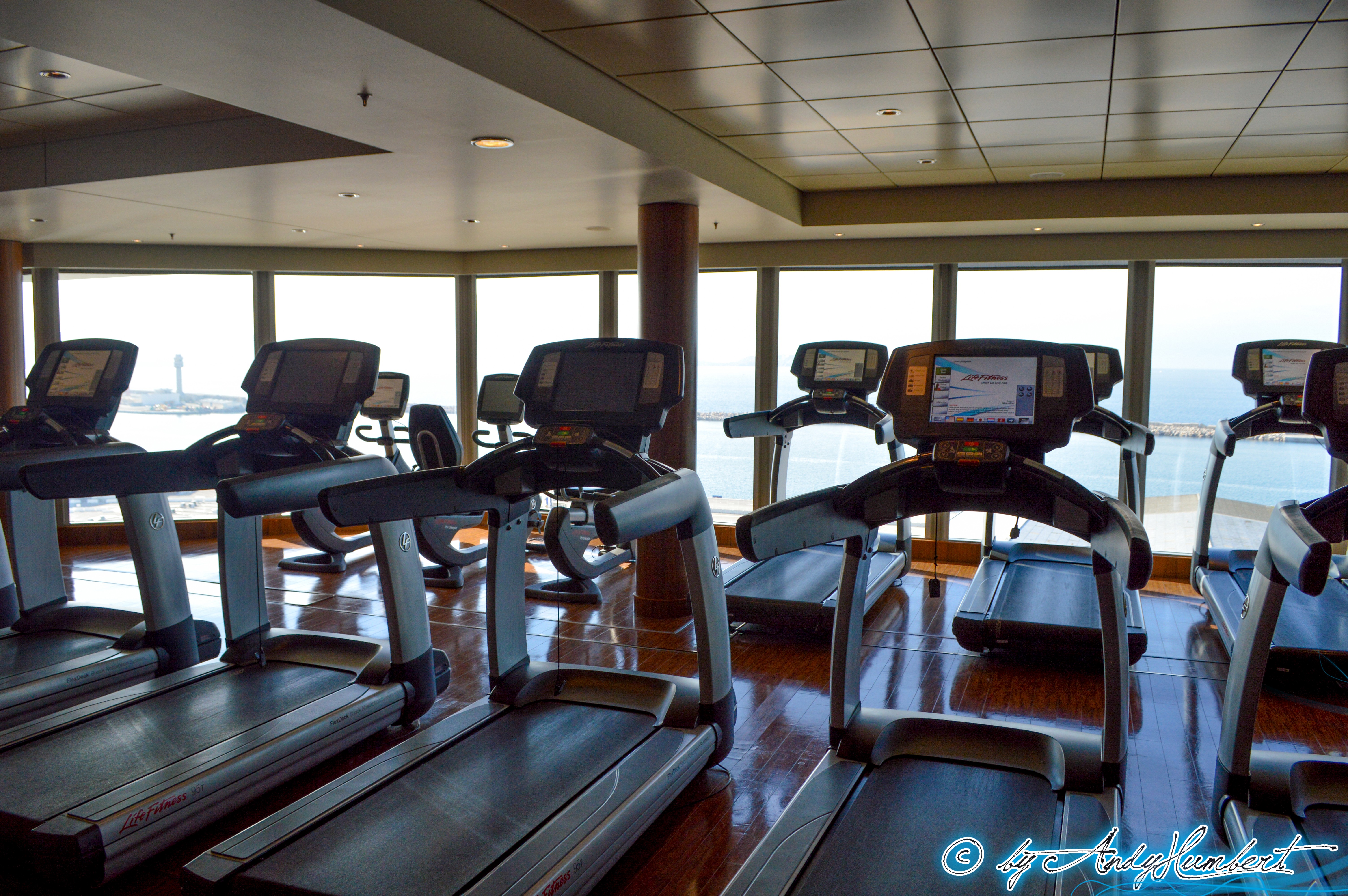 Pulse Fitness Center (pont 14)