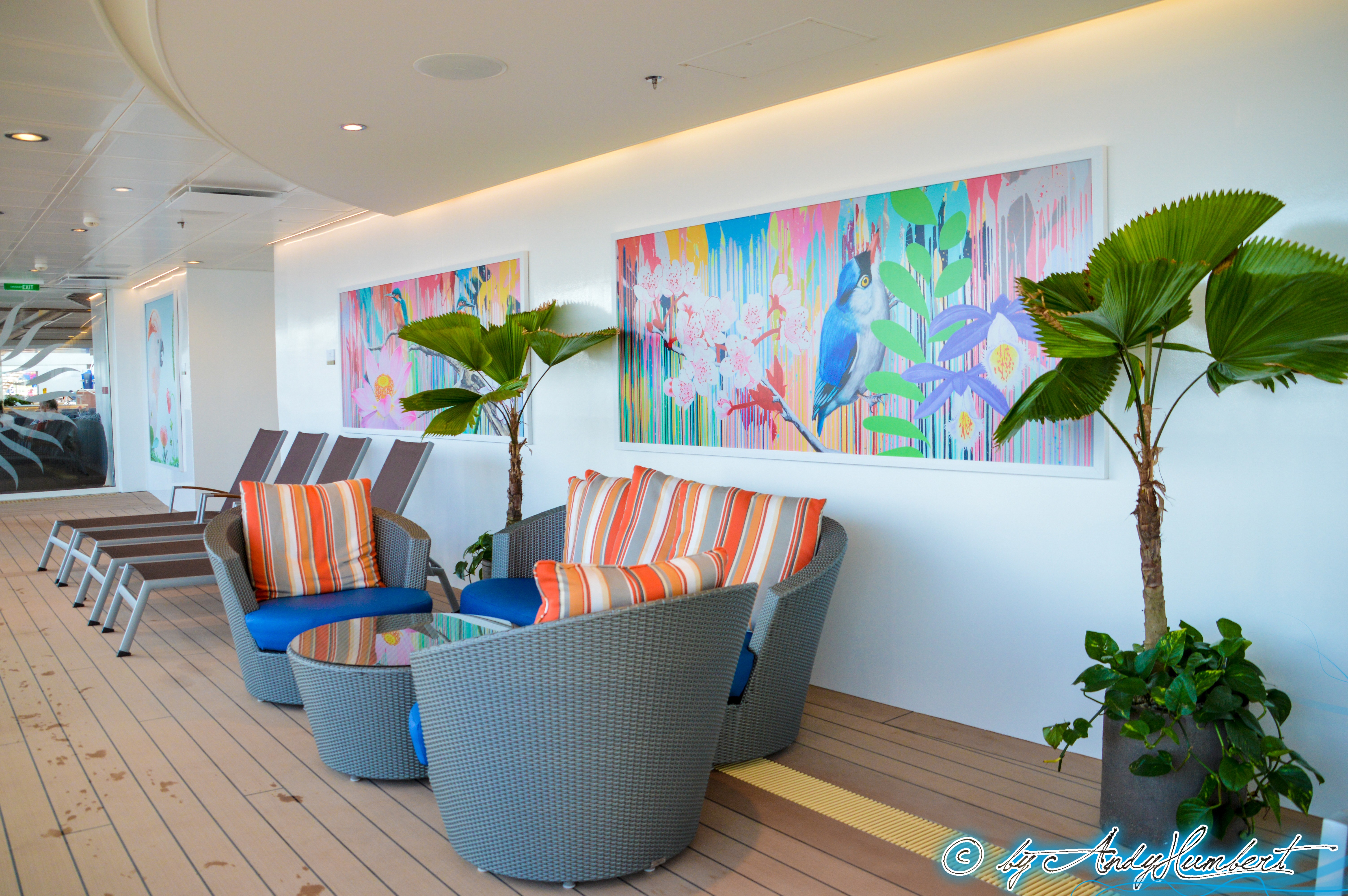 Solarium (ponts 13 & 14)