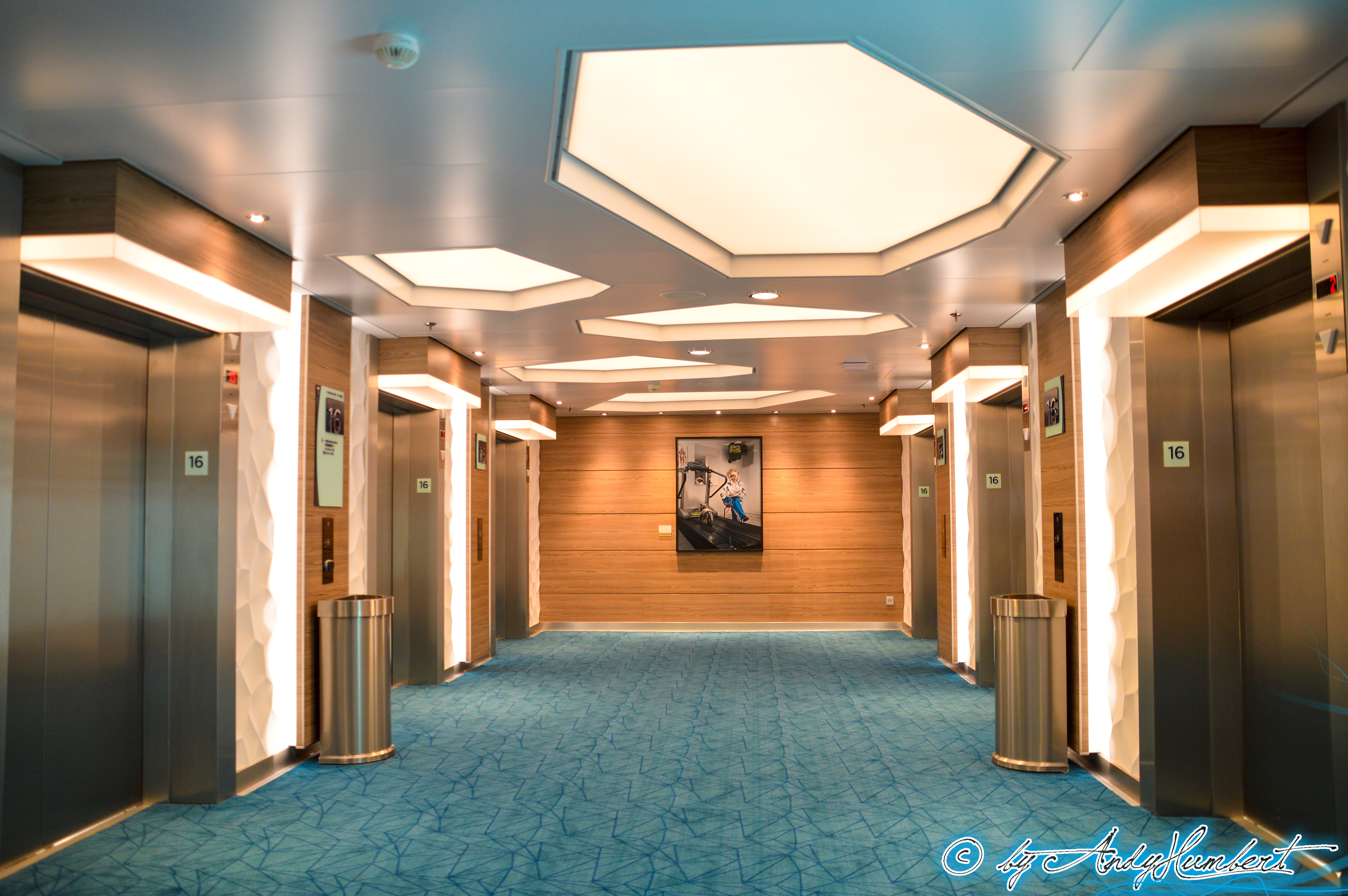 Entrée du "Fitness Center" (pont 16)