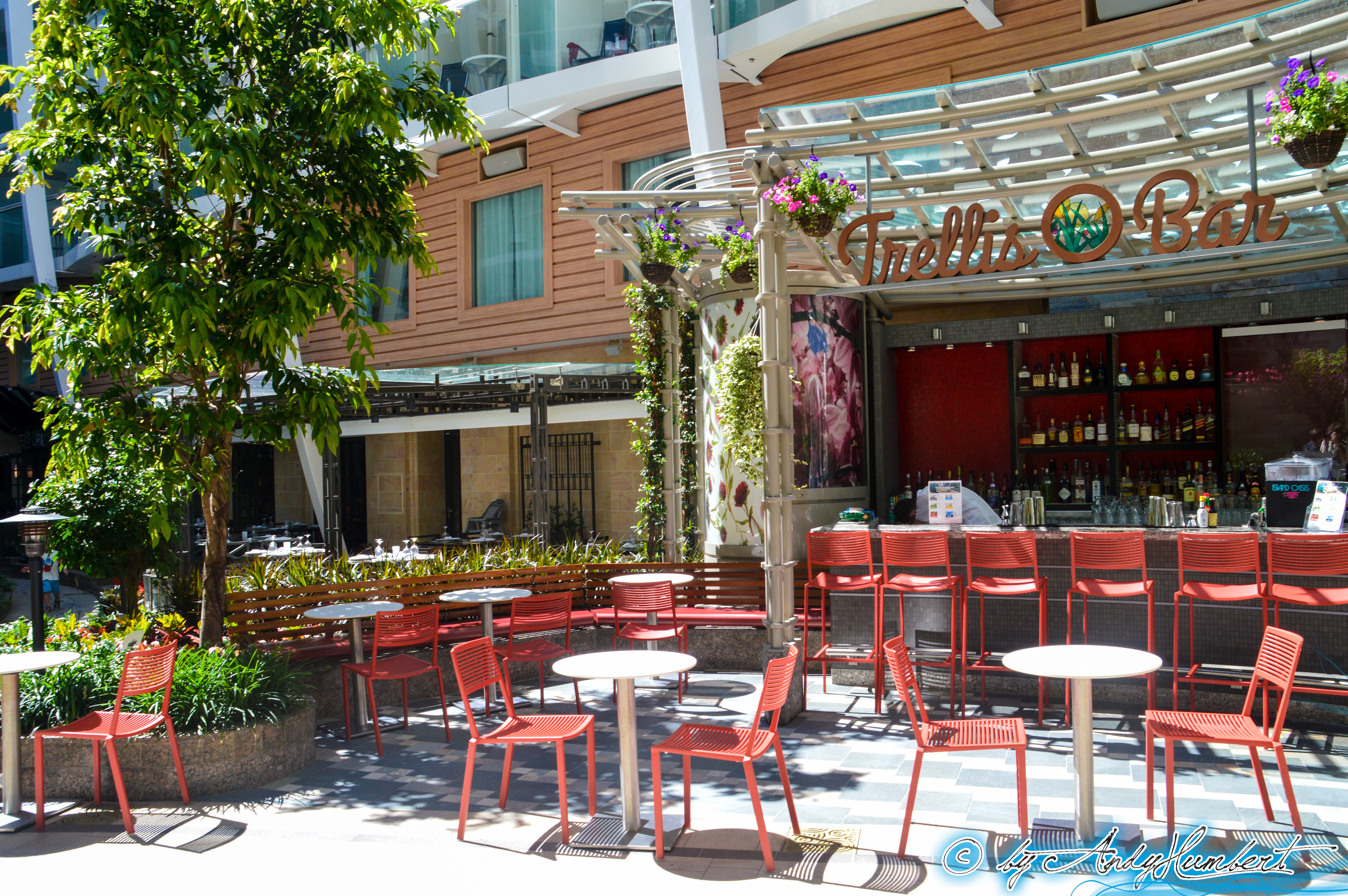 Trellis Bar (pont 8)