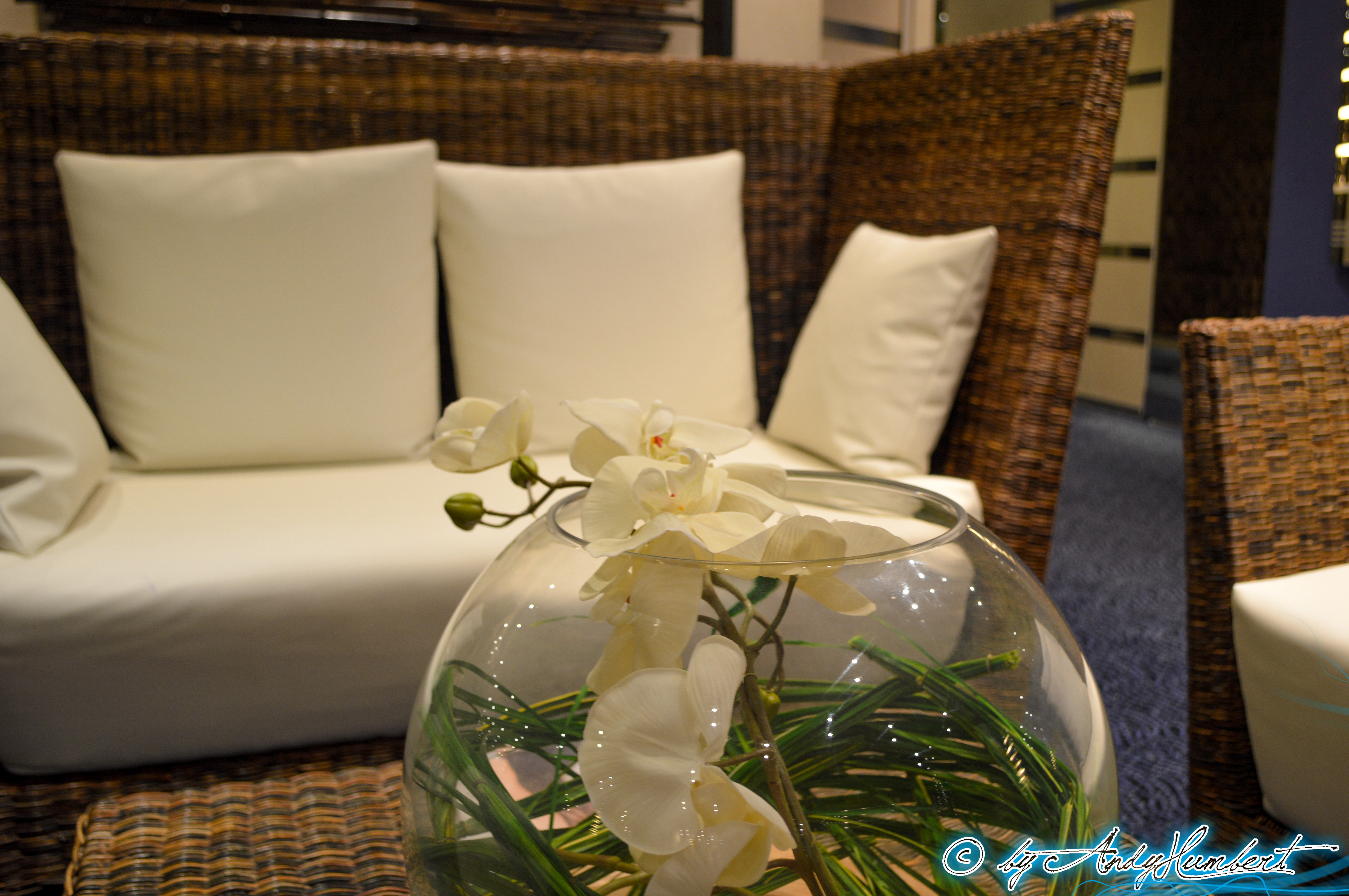 Centro benessere Portovenere (pt.11)