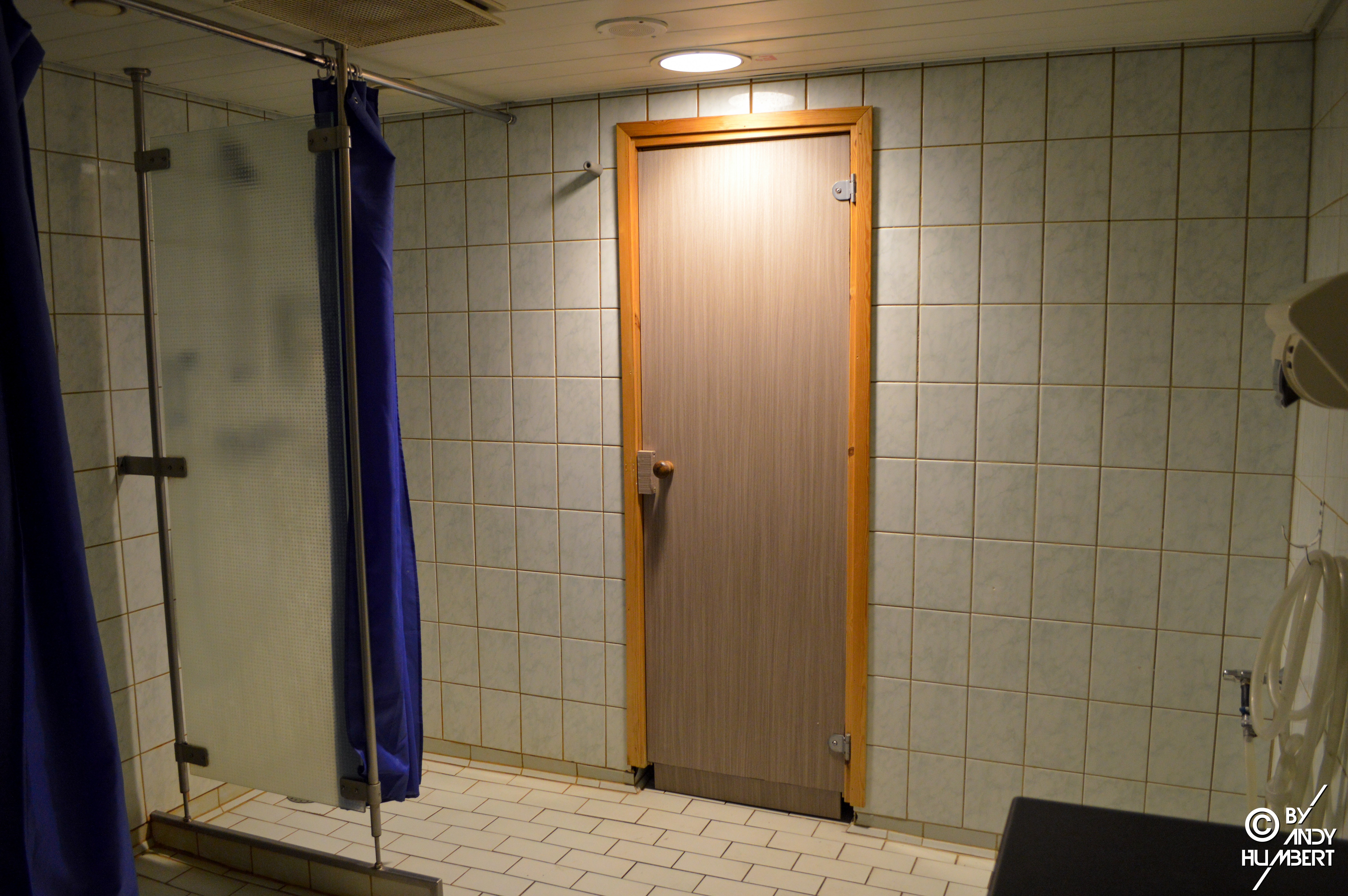Espace sauna (pont 8)