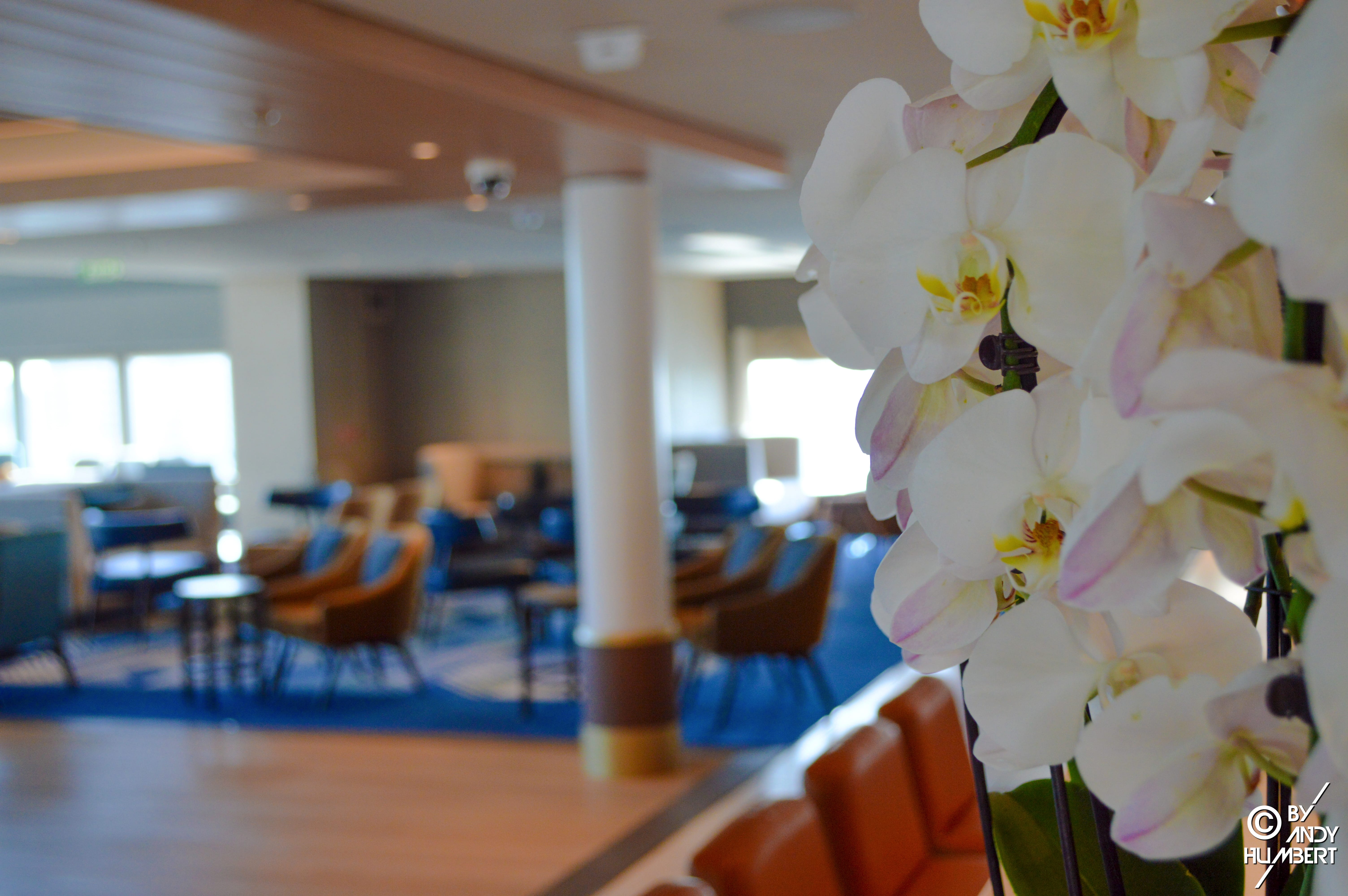 Britannia Lounge (Lido Deck)