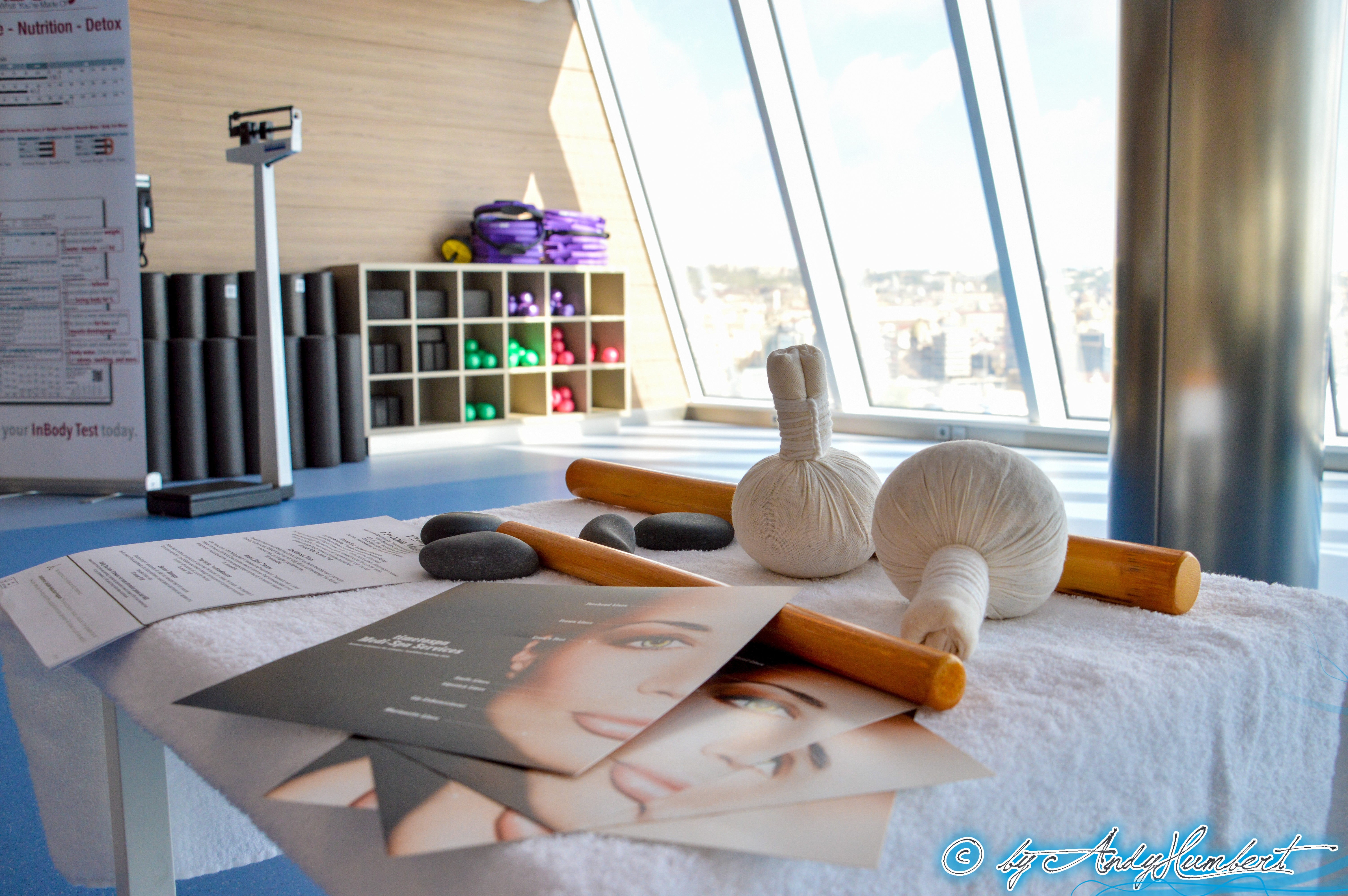 Vitality at sea Spa (pont 15)