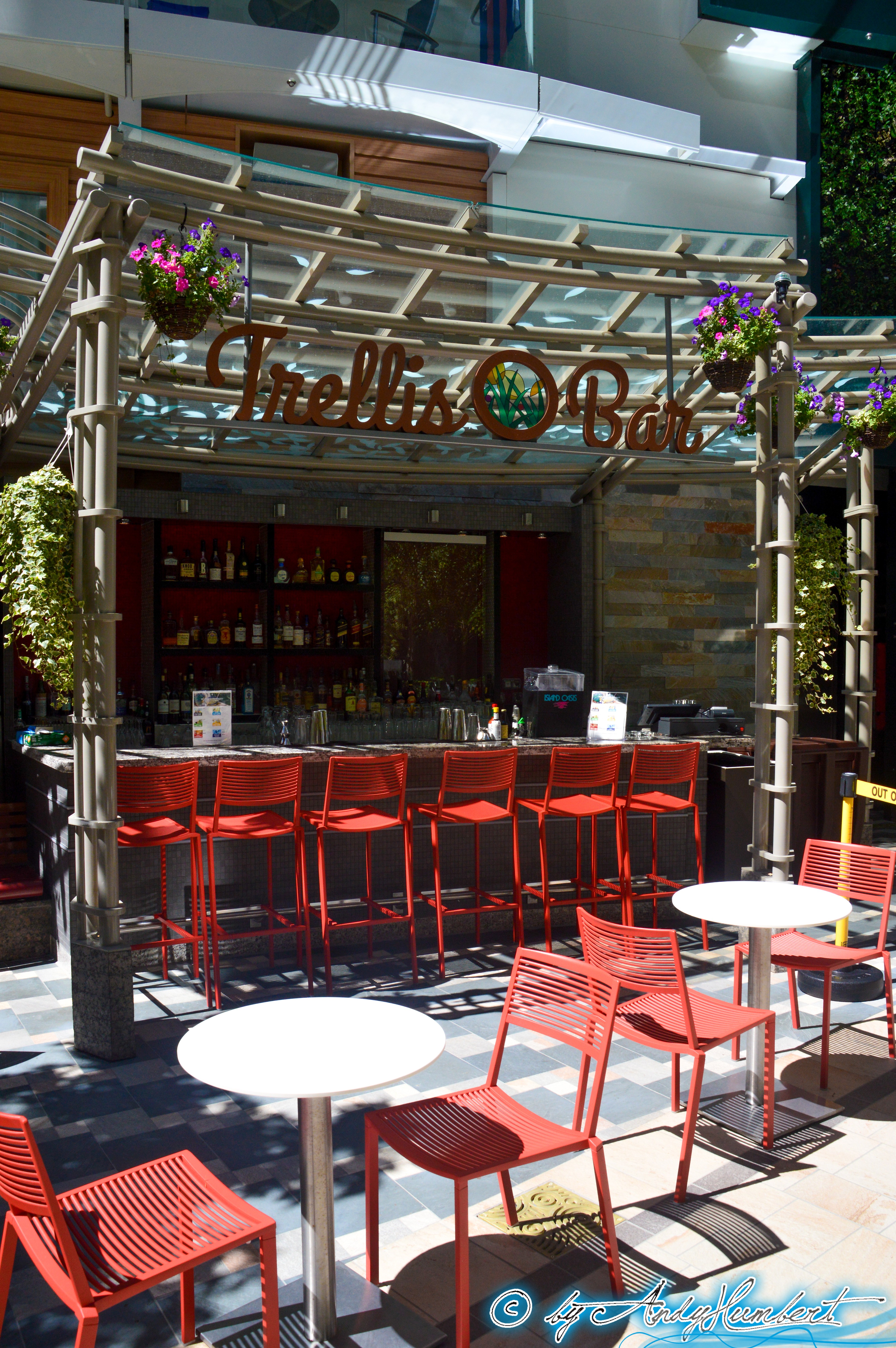 Trellis Bar (pont 8)