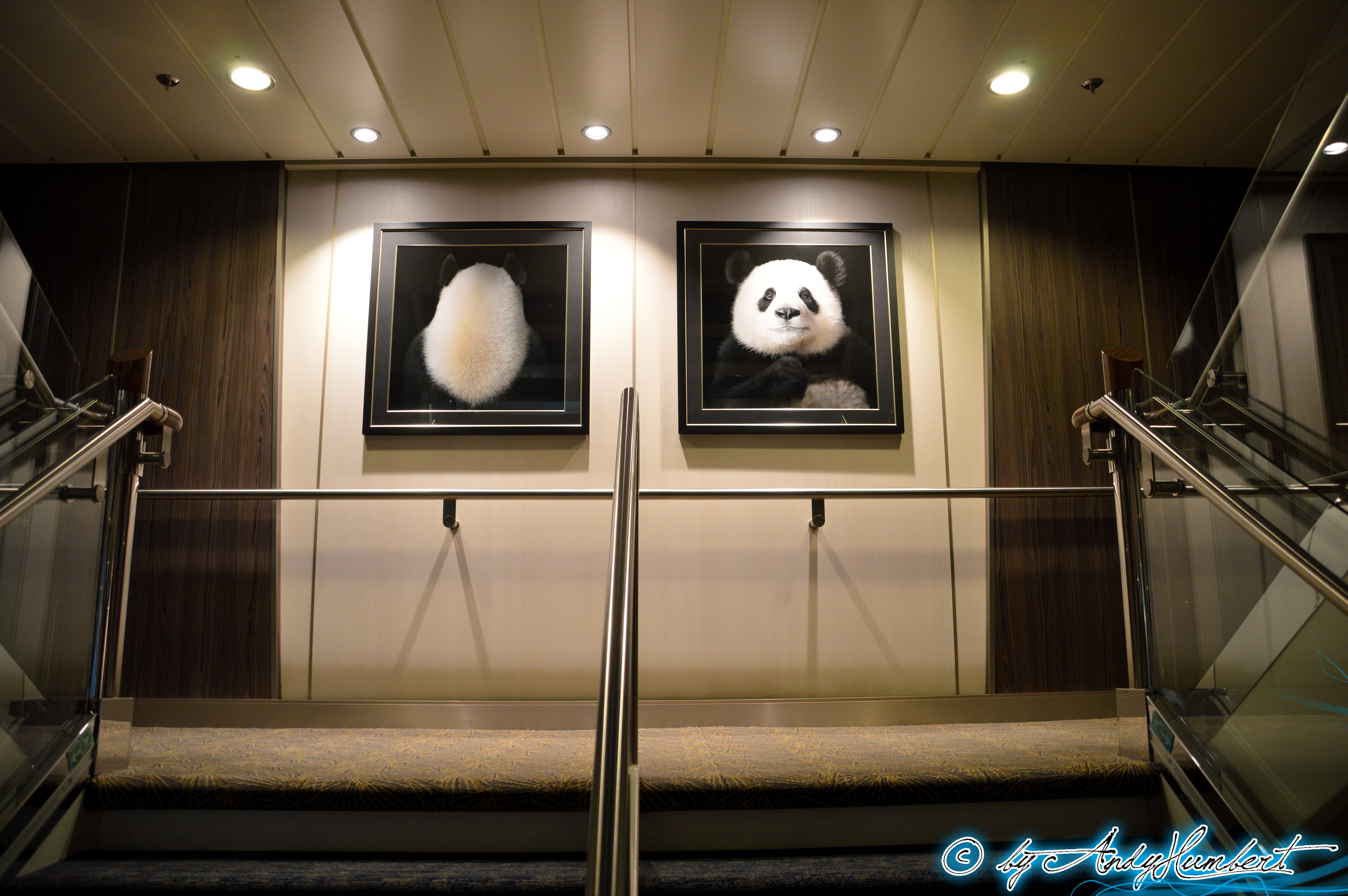 Ya Yun (Elegant) & Yi Li (Lucky)