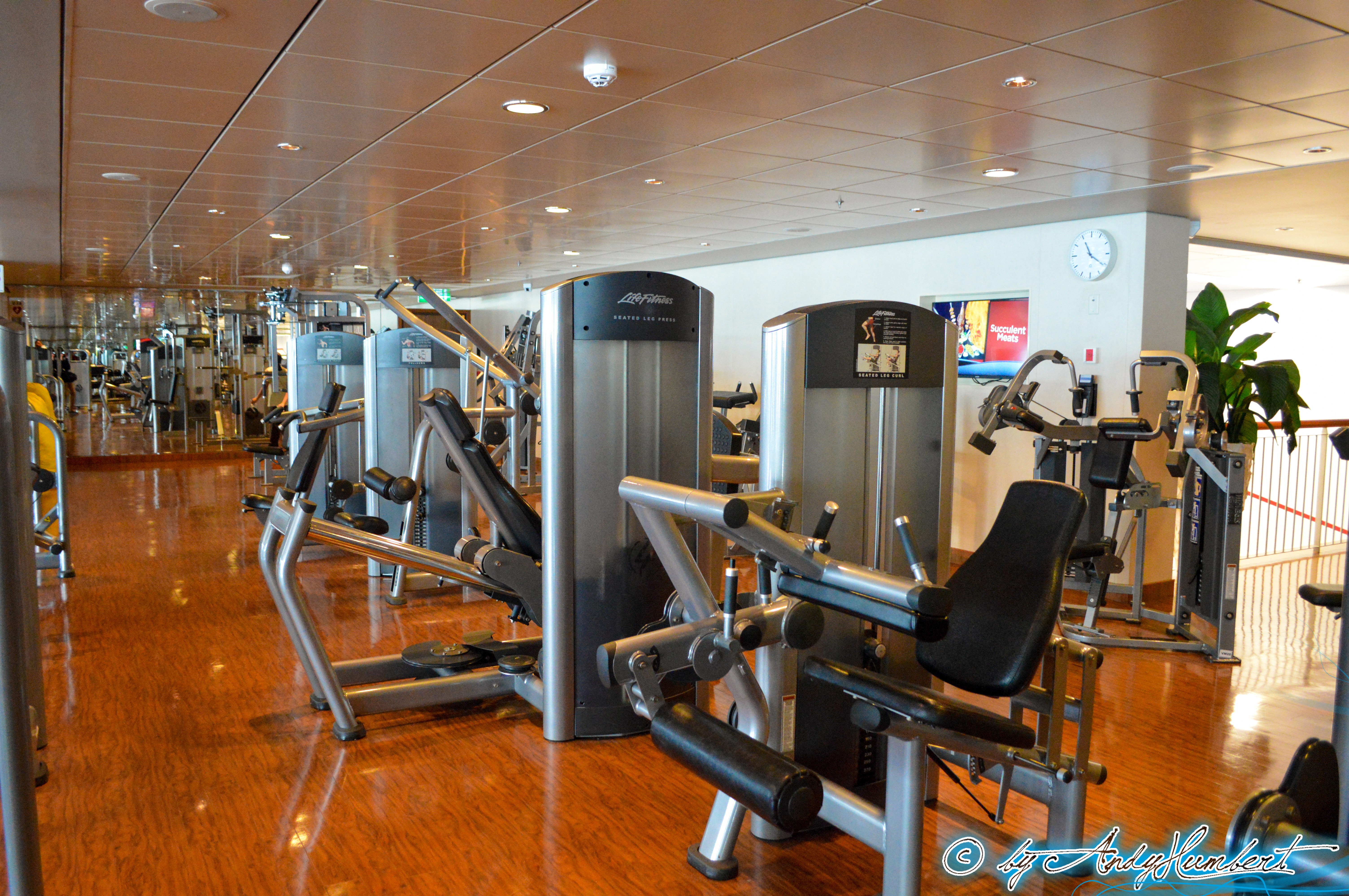 Pulse Fitness Center (pont 14)