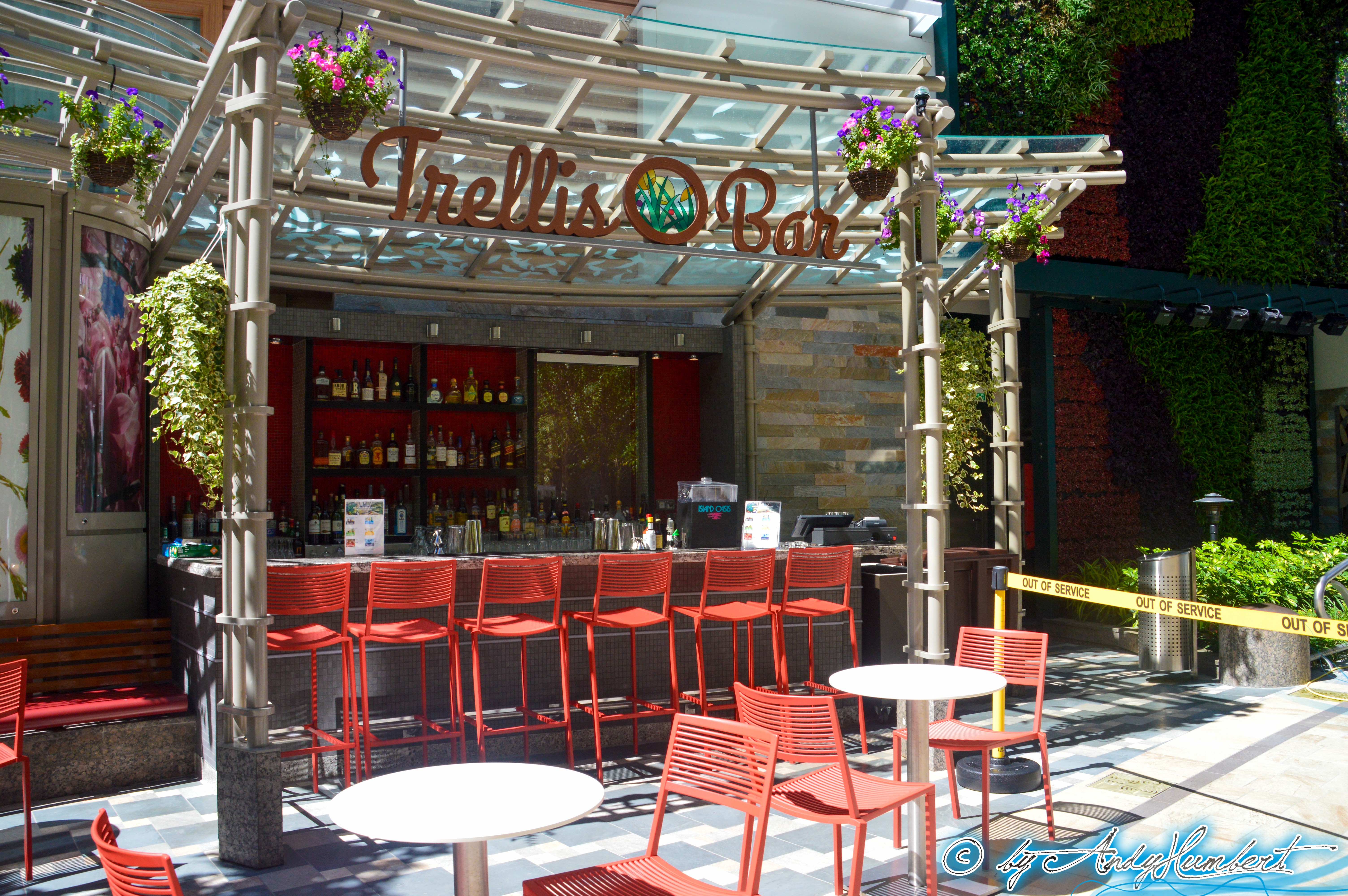 Trellis Bar (pont 8)