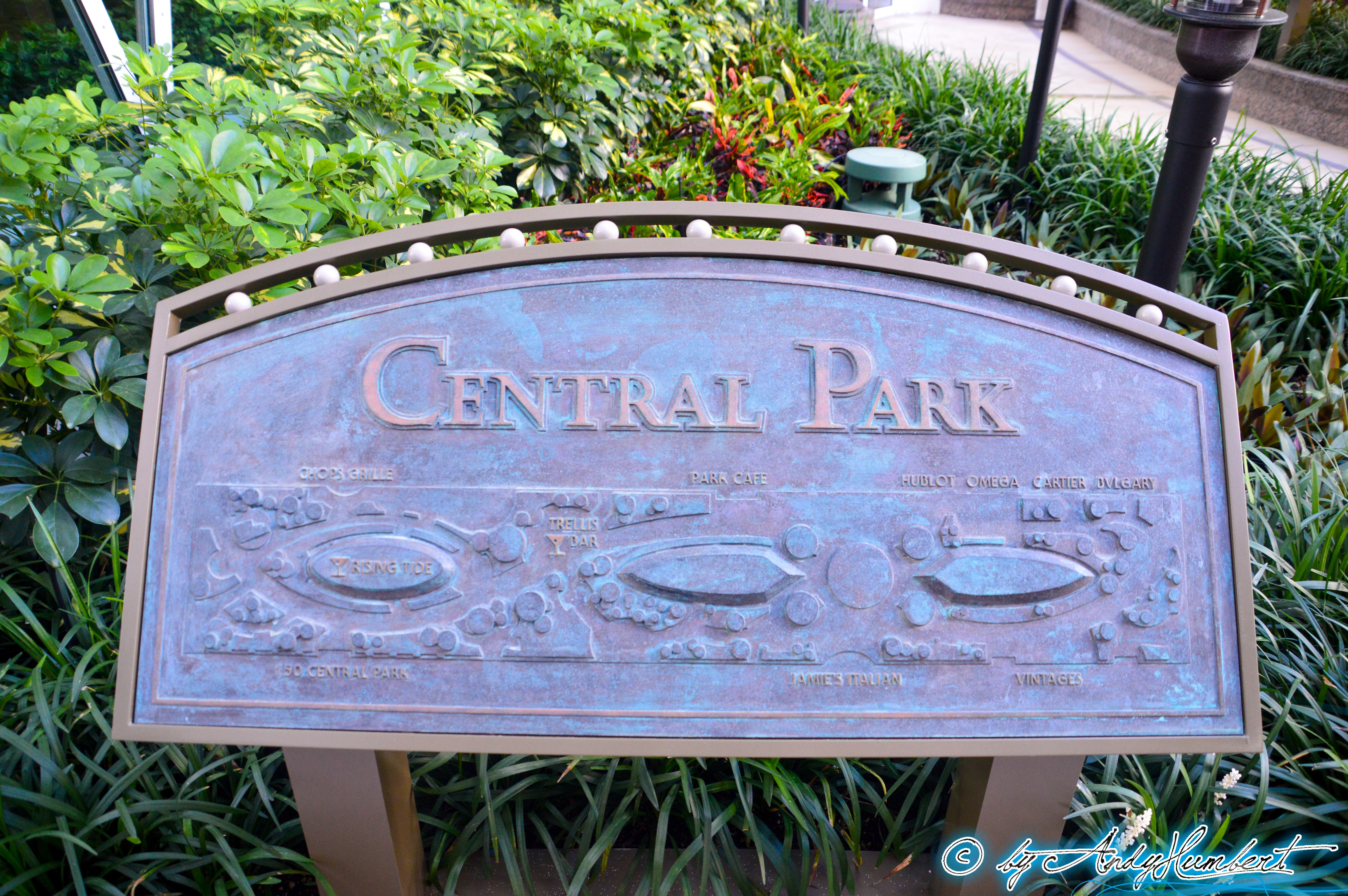 Central Park (pont 8)