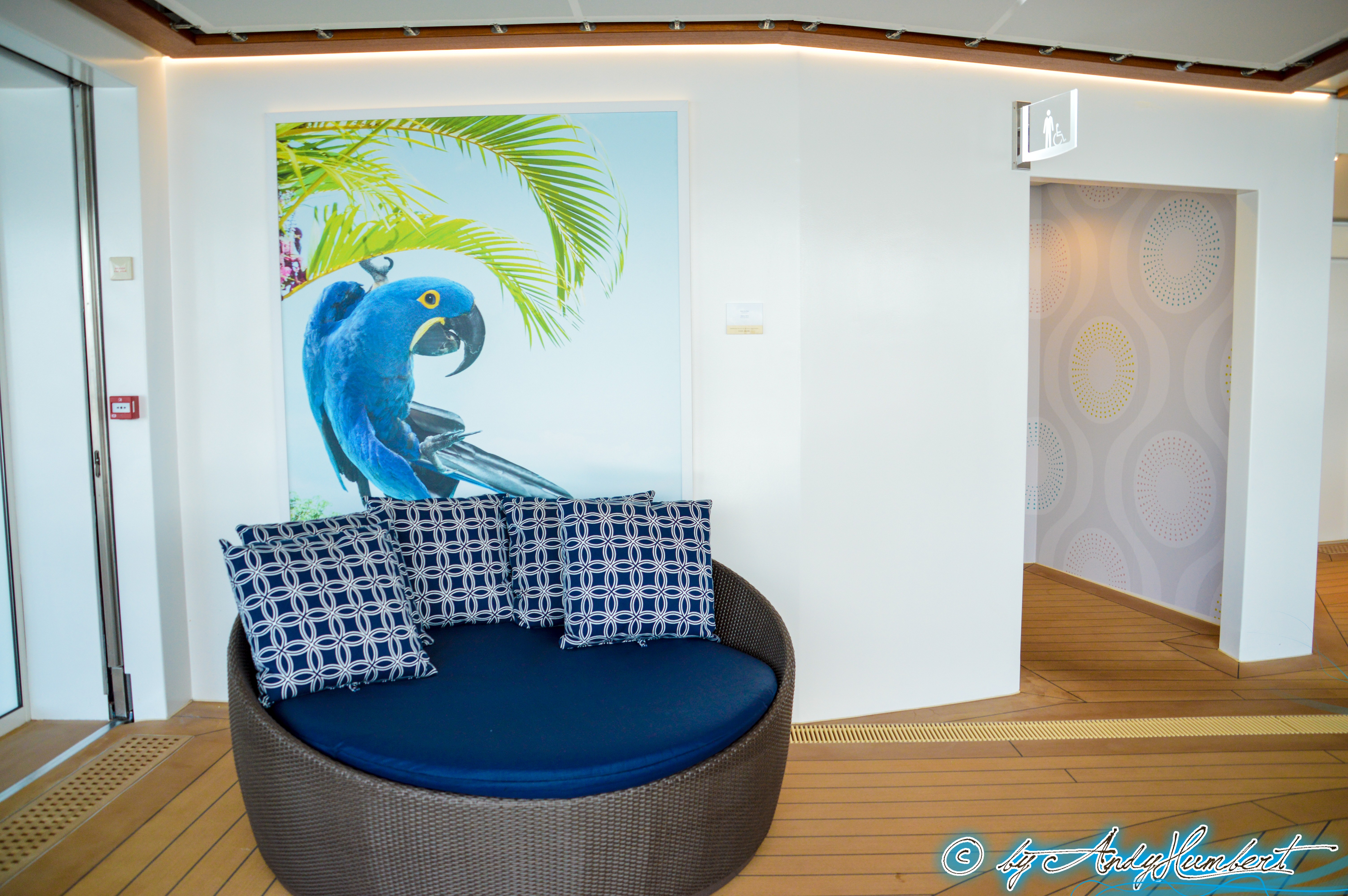 Solarium (ponts 13 & 14)