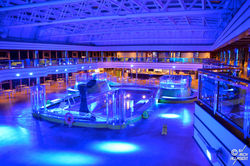 Lido Dorado (ponts 9 Acquamarina et 10 Giada)