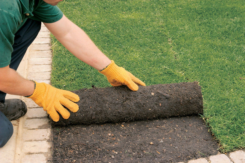 GREENFIELD SOD INSTALLATION 1