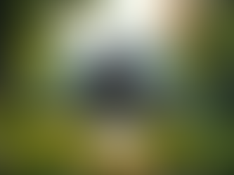 The Intersection of Buddhism and Modern Engineering Discoveries