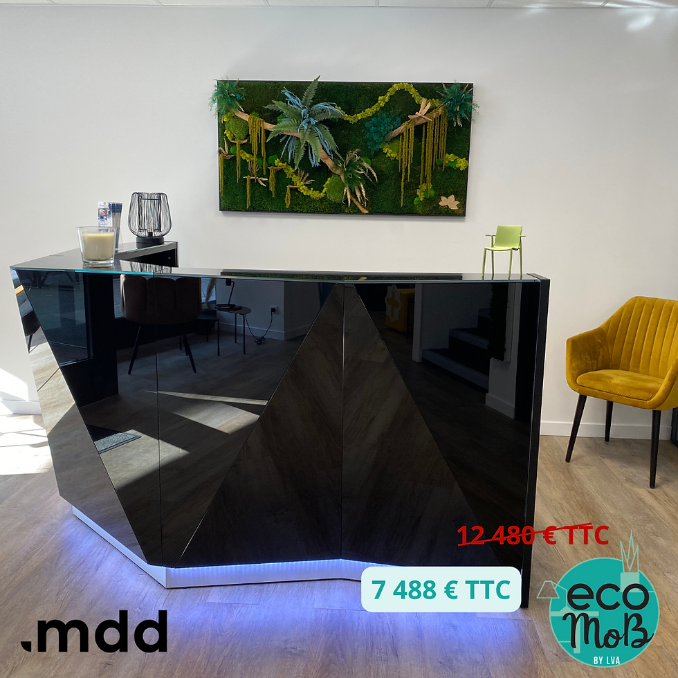 Miniature : Banque d'accueil design