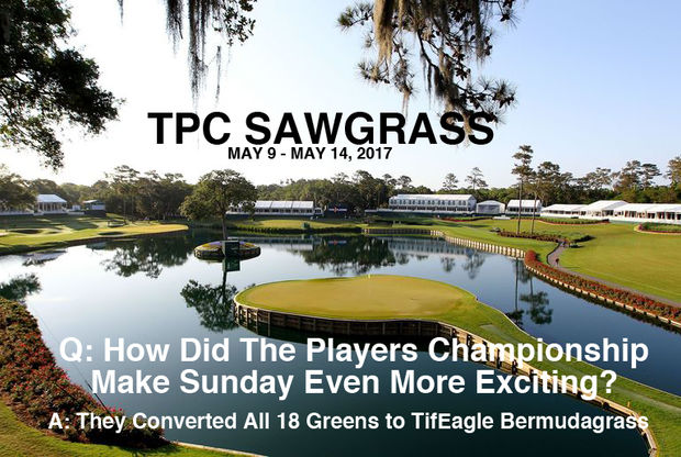 SAWGRASS CHOOSES TIFEAGLE FOR 2017 TPC
