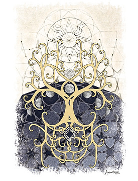 disegno dell' Albero della Vita