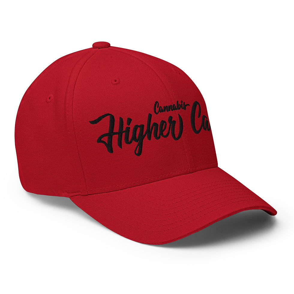 Thumbnail: Higher Cause Structured Twill Cap