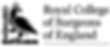 royal college of surgeons of england logo v2 transparent.png