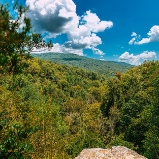 A sweeping overlook of rolling, forested hills stretches beneath a bright blue sky filled with large white clouds, showcasing a lush Tennessee landscape.