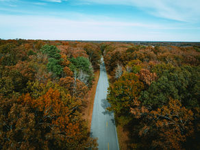 An aerial view of the Natchez Trace Parkway in Wayne County shows a quiet two-lane road stretching through dense forest, surrounded by vibrant fall foliage.